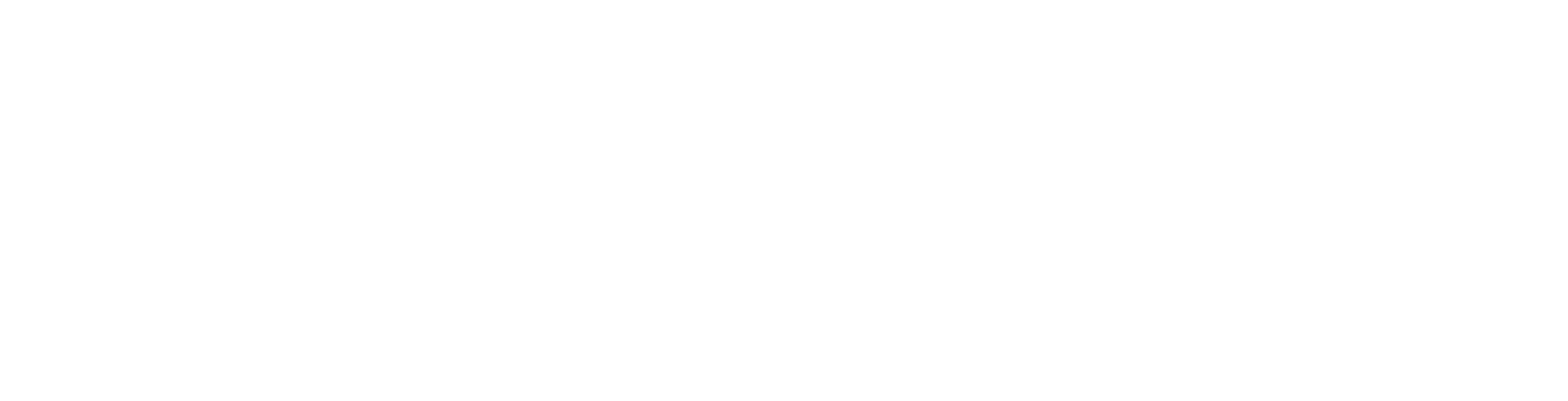 Security Vision